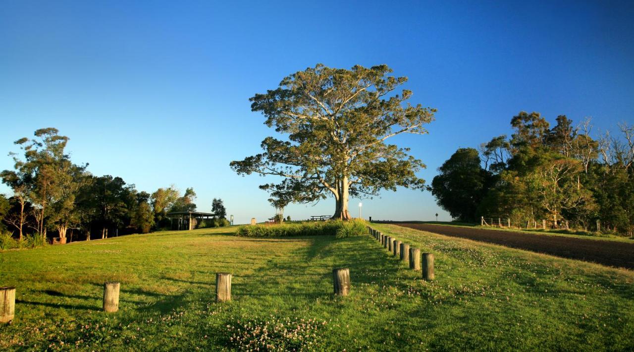 Oaks Toowoomba Hotel Екстер'єр фото